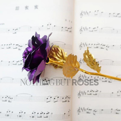 gold plated rose, gold rose, 24k gold rose